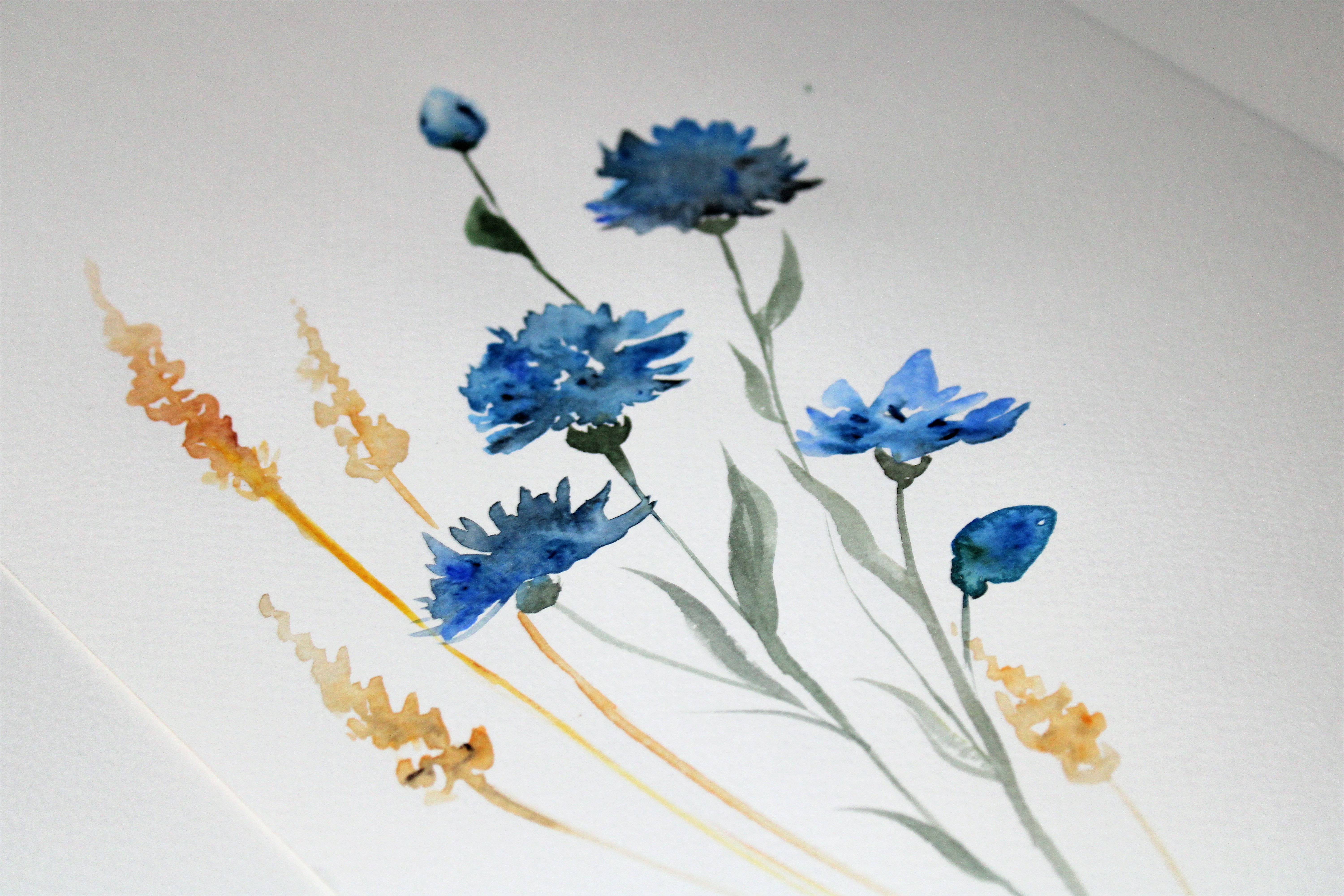 FessNeki : Watercolor - Daisies